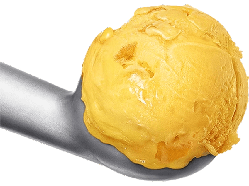 Mangosorbet