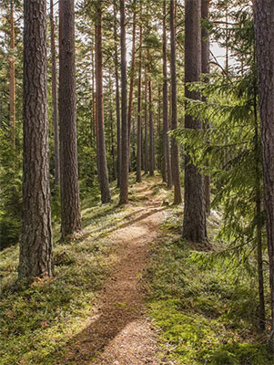 Naturreservat Hörsö & Björnö