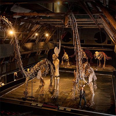 Dinosaurie Museum